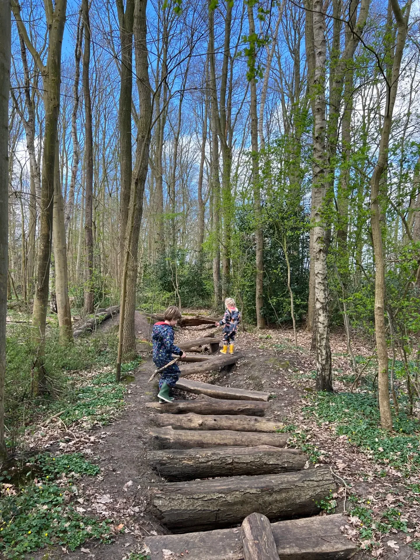 Kinderen op wandelroute met hindernissen in het speelbos van Meeden. Een van de leukste gratis uitjes voor kinderen in Groningen