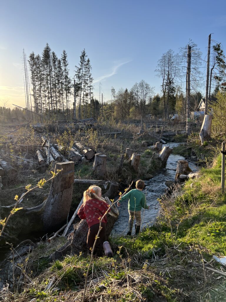 Kinderen spelen in een beekje op Camping Braunlage in de Harz tijdens de meivakantie