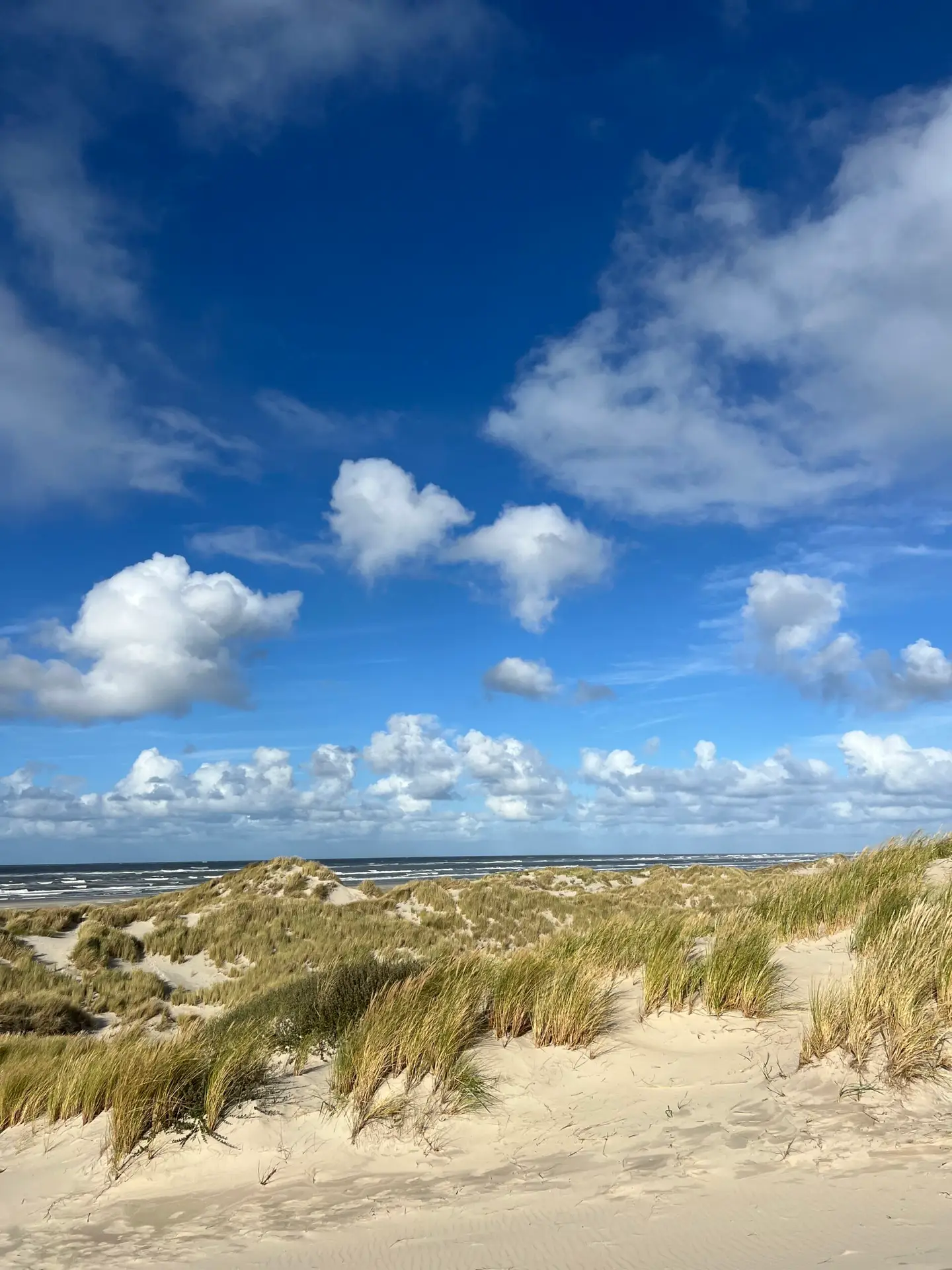 Duinen en strand van de Wadden onder een wolkenlucht
