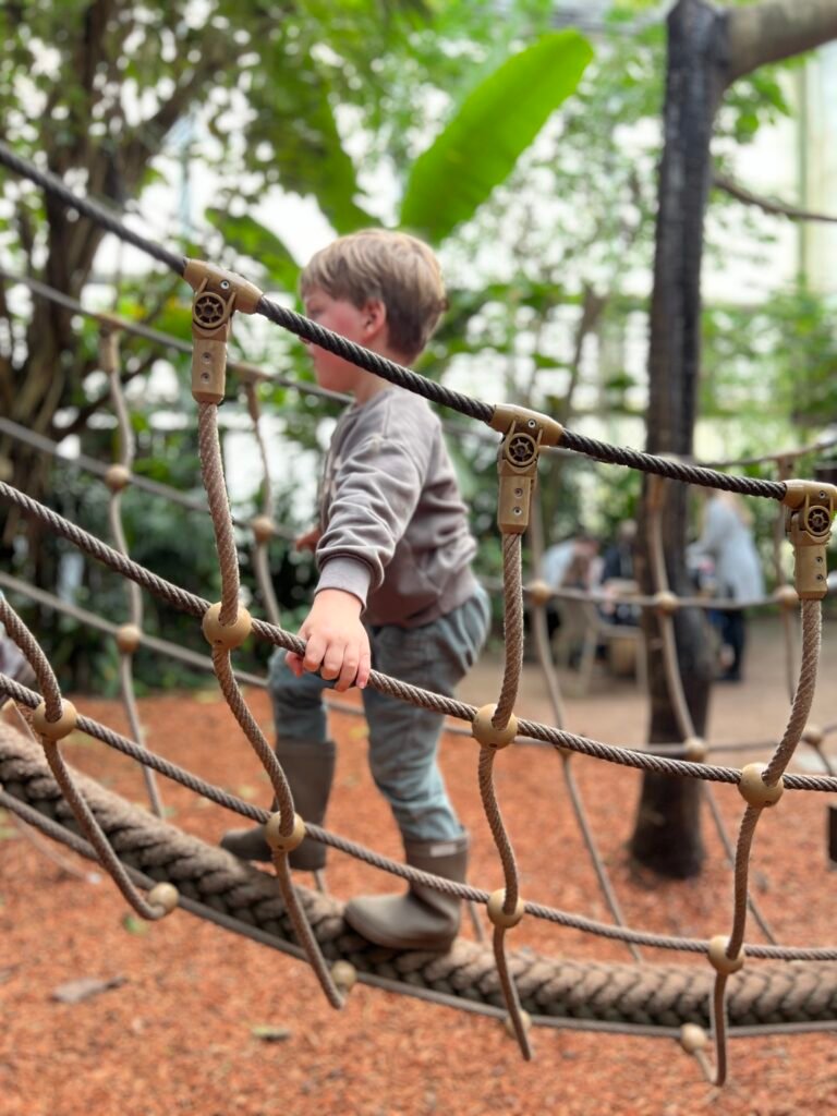 Kind speelt op touwbrug in tropische kas Rimbula in Jungola