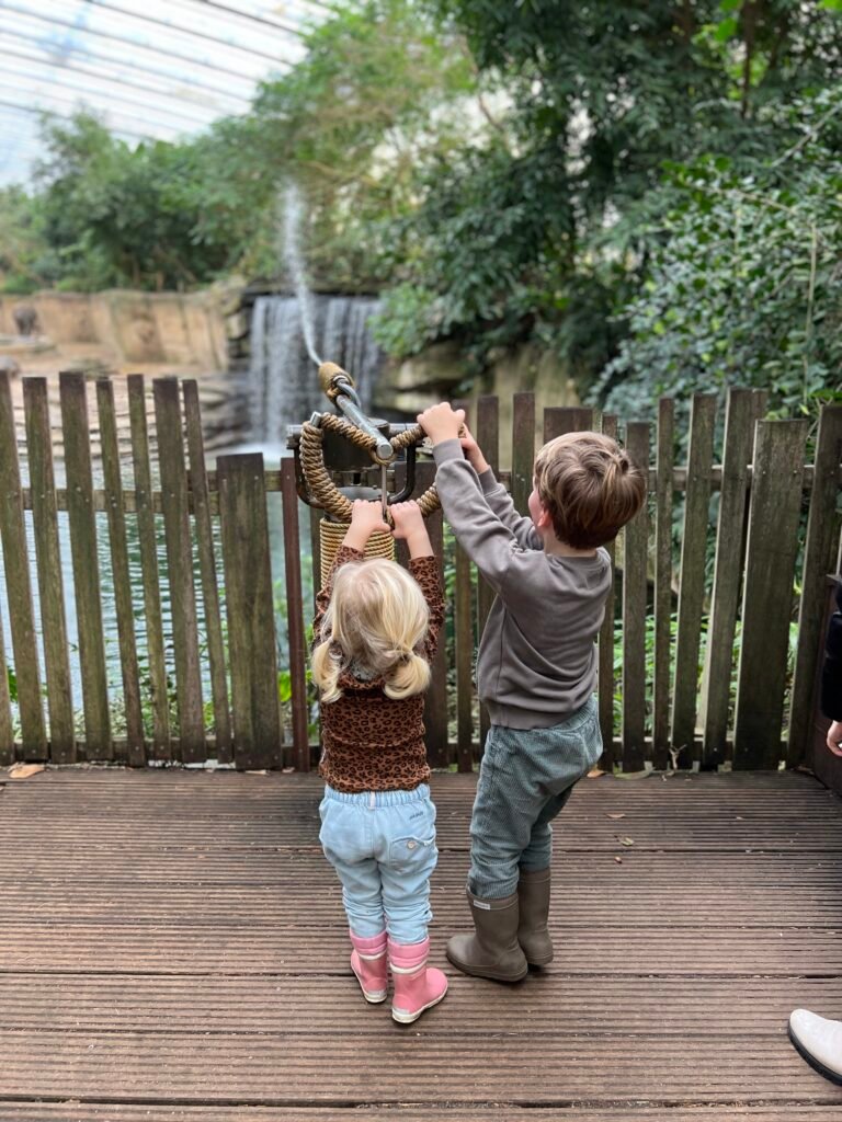 Kinderen spuiten olifanten nat in Wildlands Emmen in Drenthe