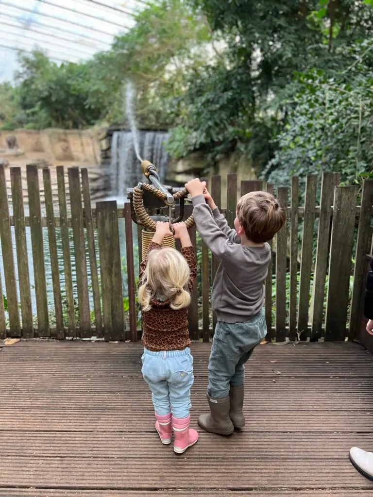 Kinderen spuiten olifanten nat in Wildlands Emmen in Drenthe